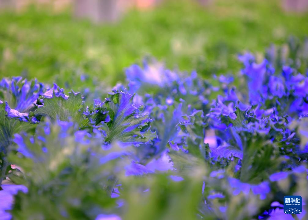 ??????? ???? ?????? ???? ??? ???????