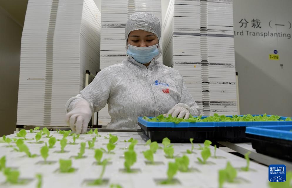 ??????? ???? ?????? ???? ??? ???????