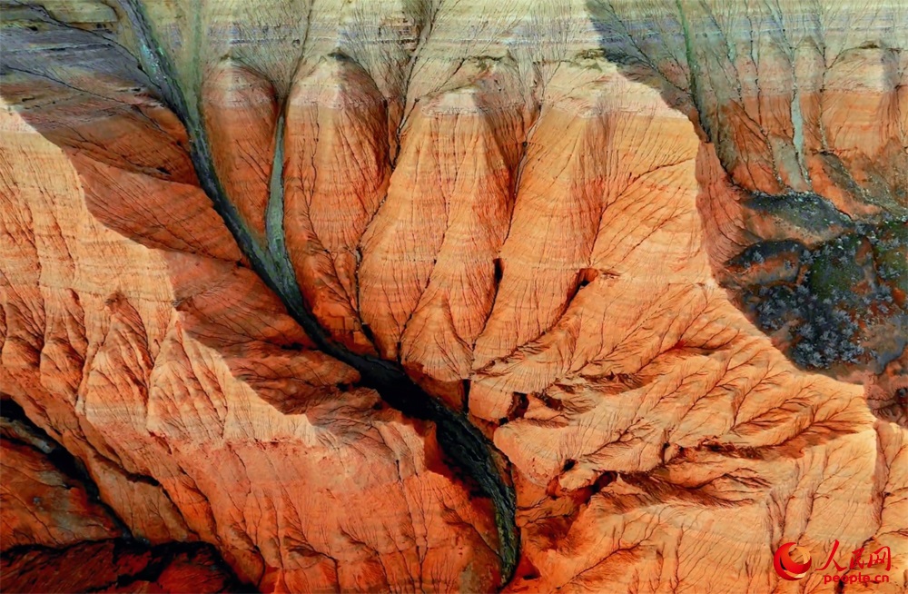 ?? ????????? ???? ???? ????? ??? ????? ????