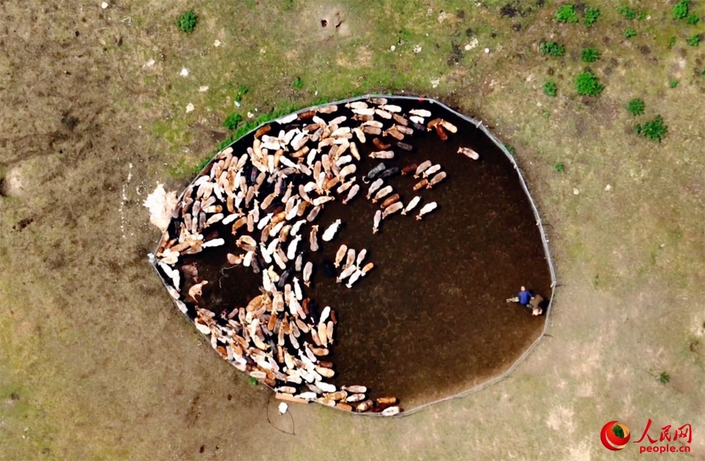 ?? ????????? ???? ???? ????? ??? ????? ????