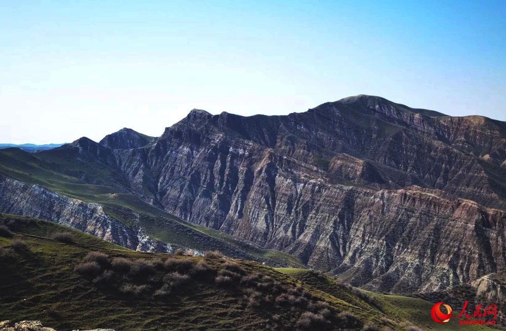 ?? ????????? ???? ???? ????? ??? ????? ????