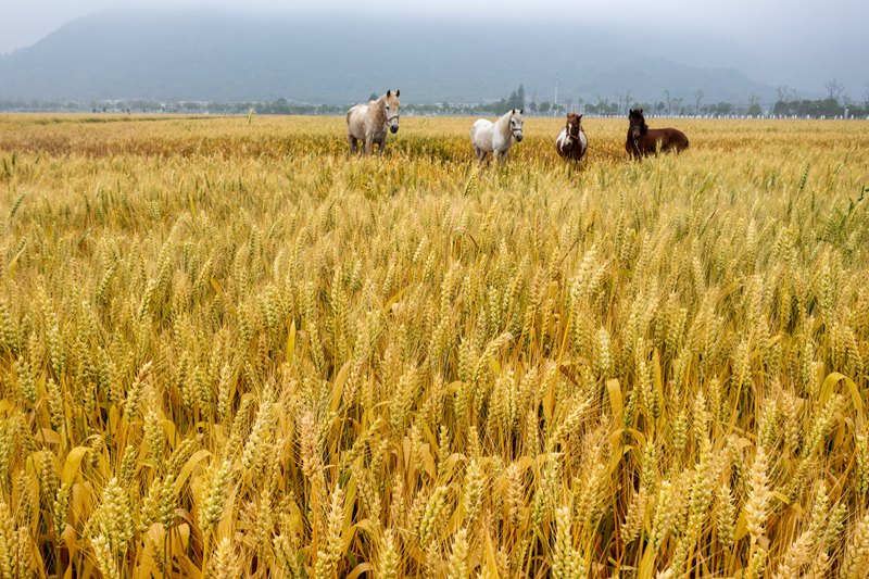 ??????? ??? ????? ??????? ???? ????? ????? ?? ???????