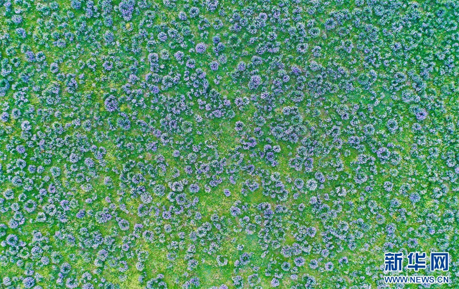 ???????? ?? ????? ????? : ??? ?? ???? ?????? ??? ????? ?????? ????????