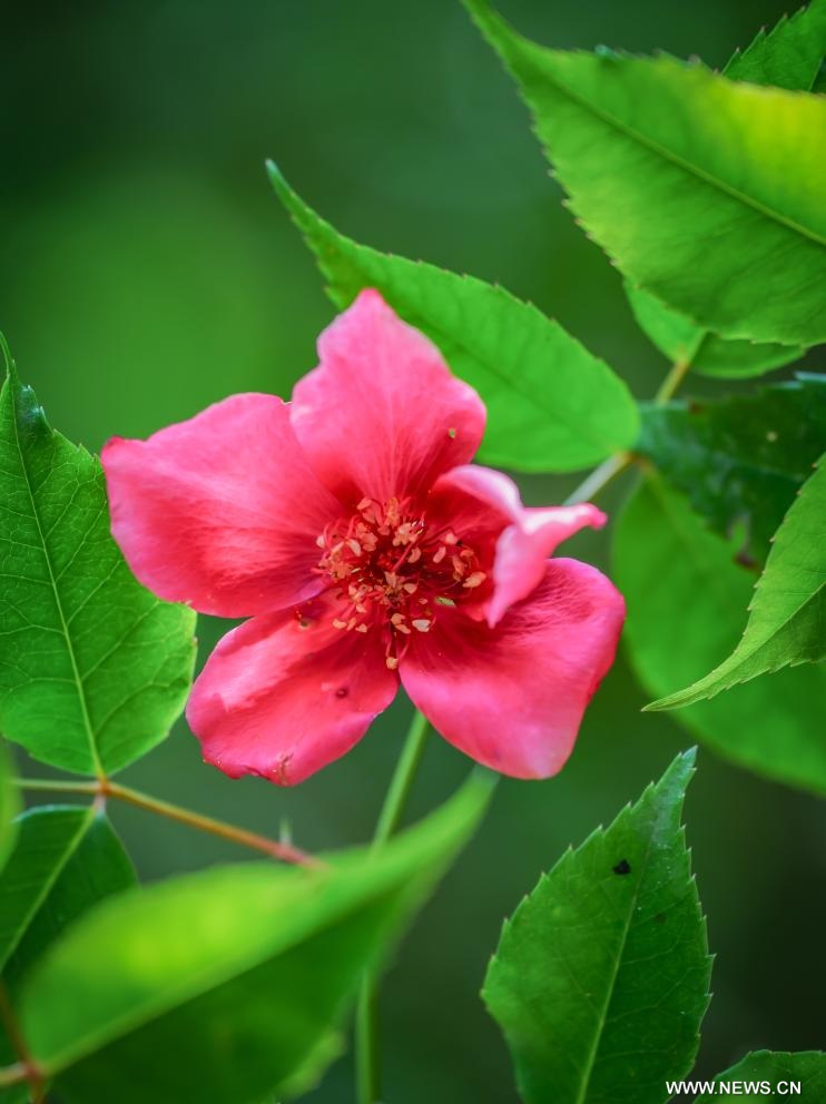 ?????? ??? ??? ??? ???? ???? ????????? ?? ???? ???? ?????