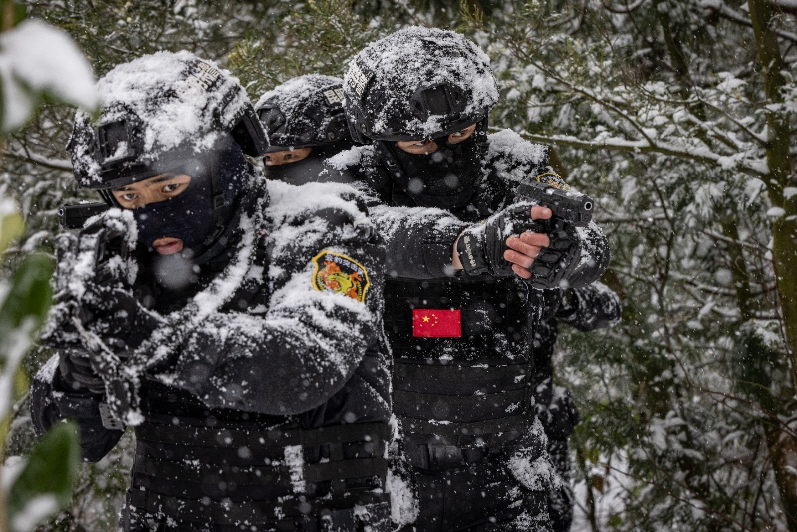 ???? ?? ?????? ???????... ??????? ???? ????? ??? ??????