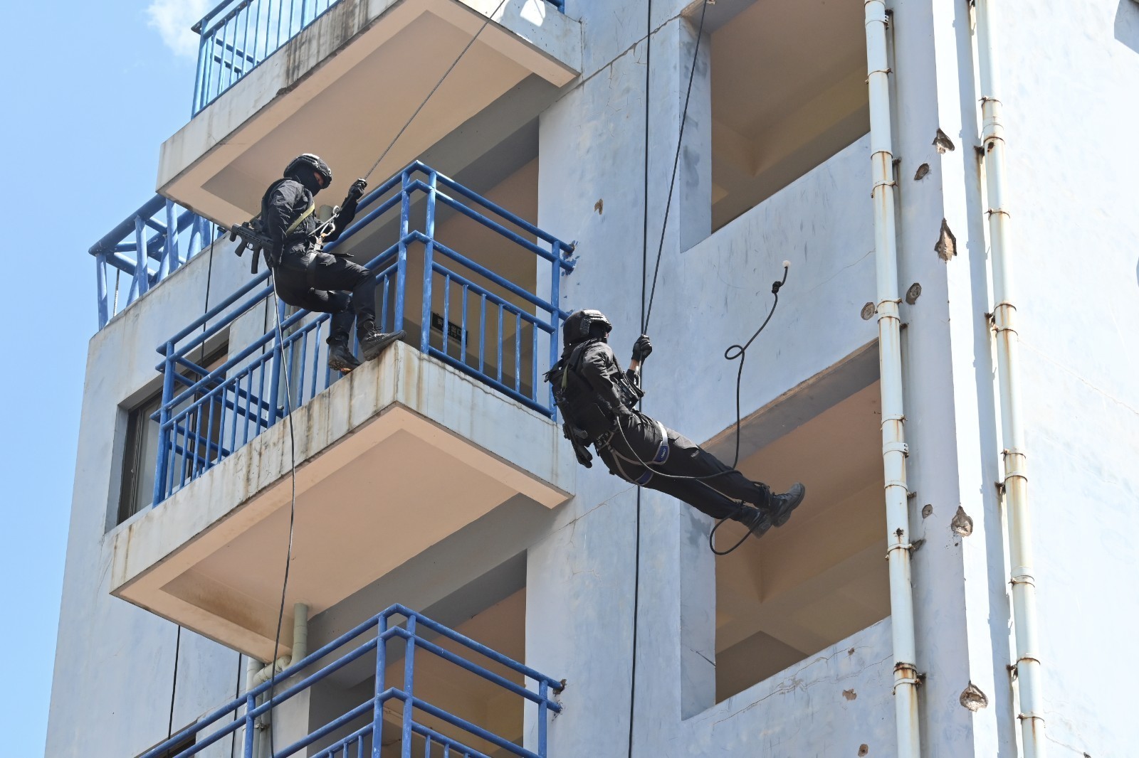 ???? ?? ?????? ???????... ??????? ???? ????? ??? ??????