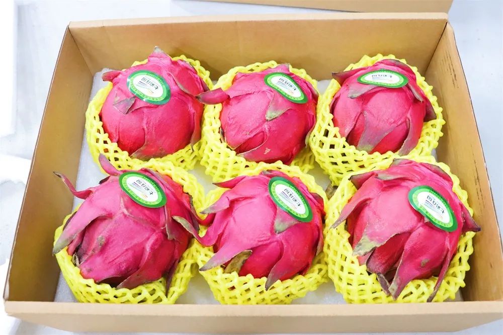 ????? ????? .. ????? ????? ???? ?????? ??? ????? ??????