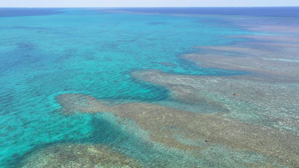 ????? ????? ???????? ??? ???????