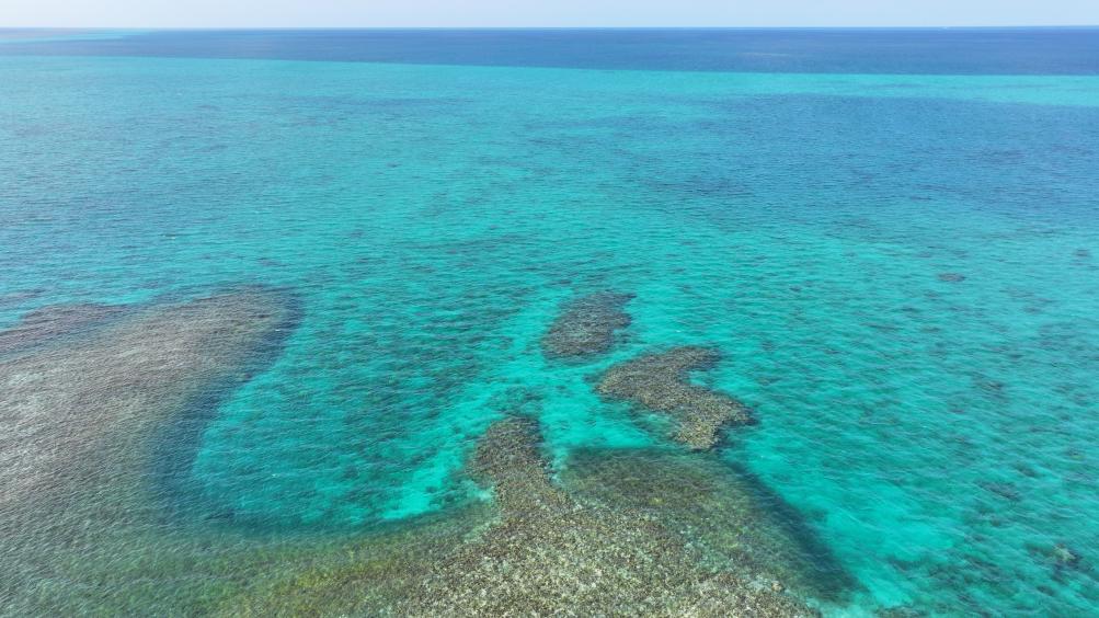 ????? ????? ???????? ??? ???????