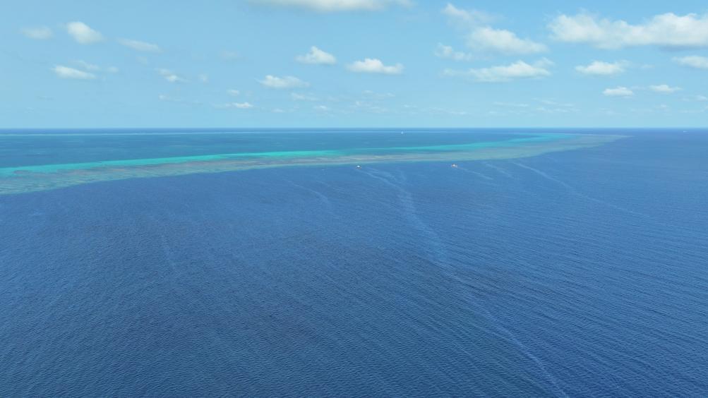 ????? ????? ???????? ??? ???????