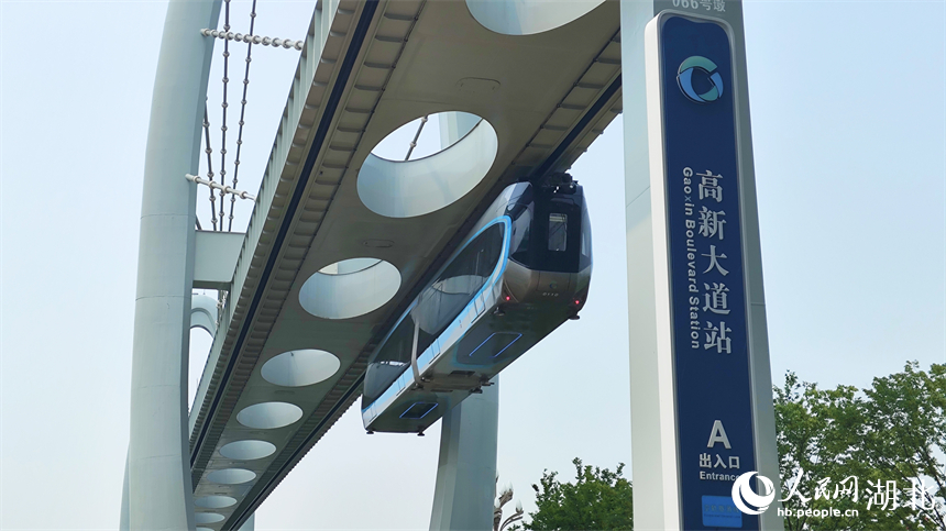 ???? ???????????? .. ???? ????? 