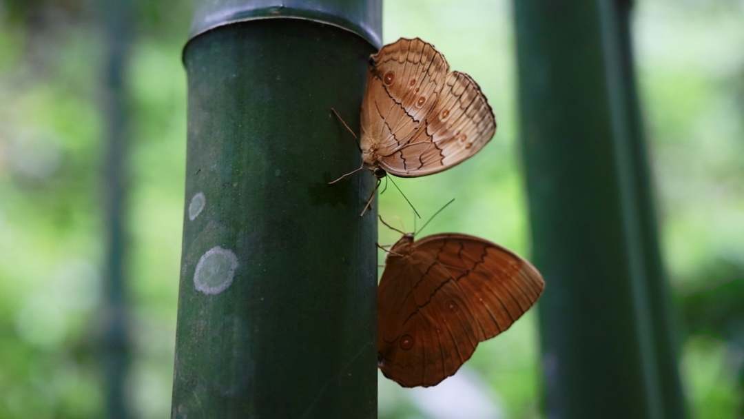 ??????? ???? ???????? ???????