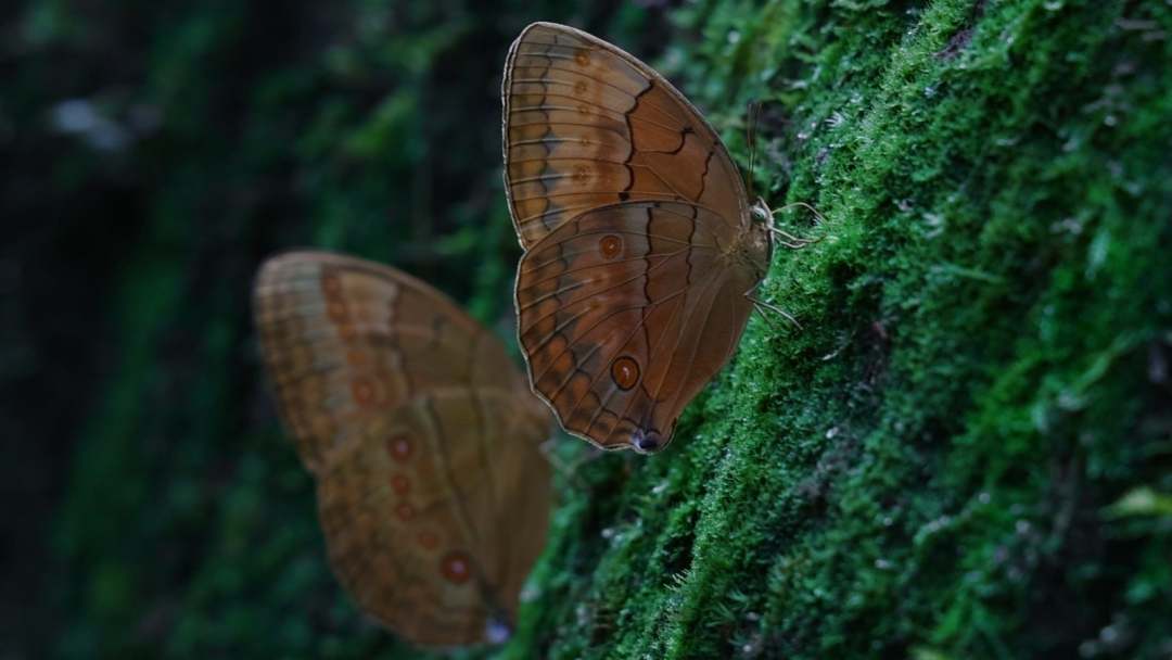 ??????? ???? ???????? ???????