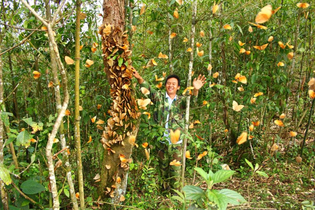 ??????? ???? ???????? ???????