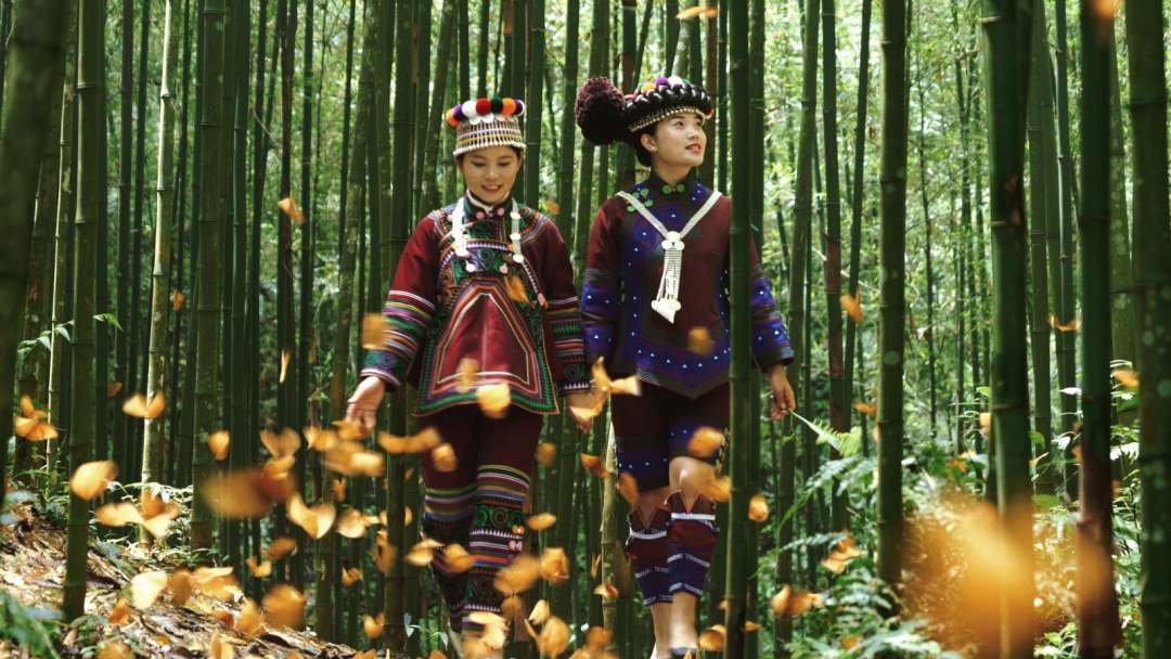 ??????? ???? ???????? ???????