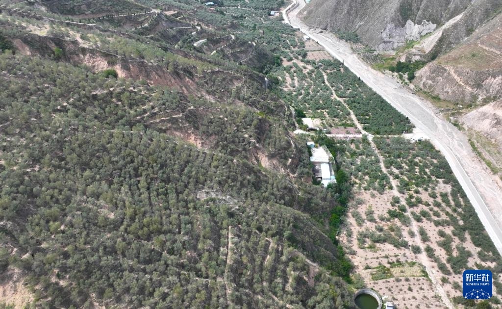 ???????? ?????: ???? ???? ????? ????? ???????