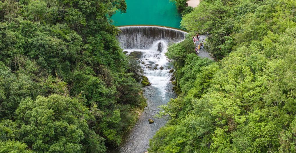 ??????: ????? ????? ?? ?????? ????? ?? ???? ???? ?????