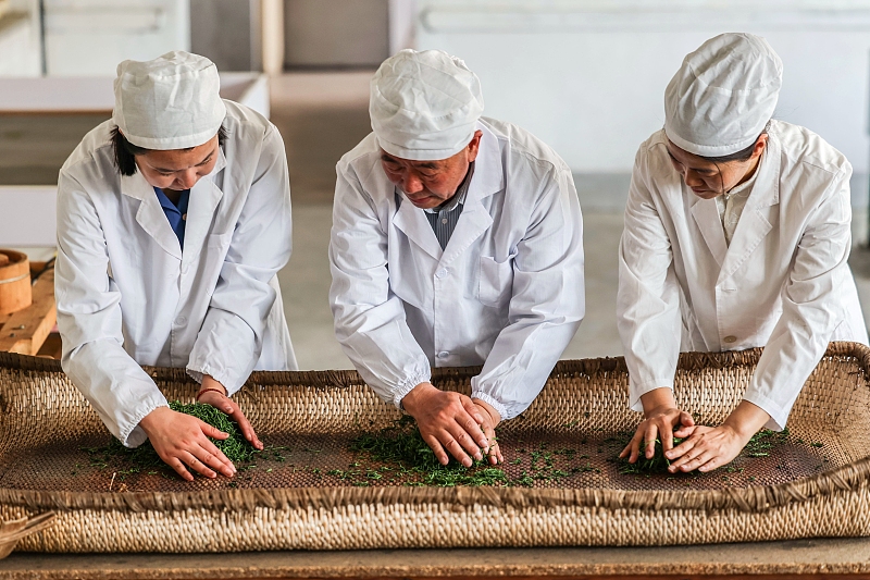 ????? ????? ??????? ?..? ????? ?????? ???? ??????