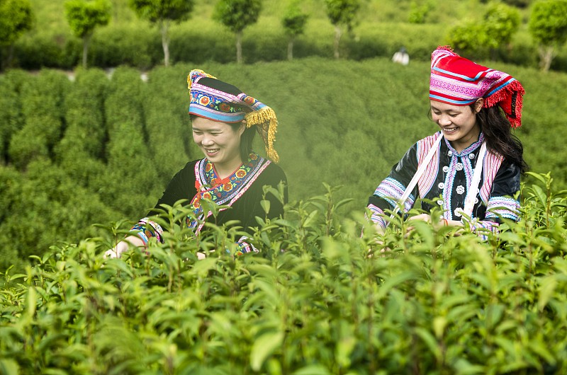 ????? ????? ??????? ?..? ????? ?????? ???? ??????