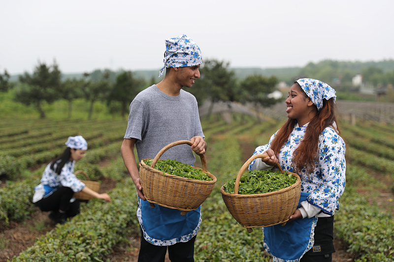 ????? ????? ??????? ?..? ????? ?????? ???? ??????