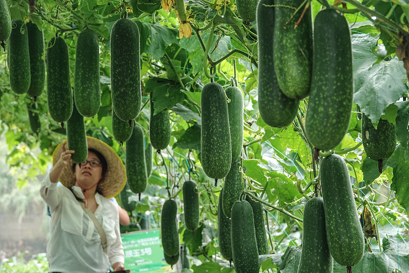 ???? ?? 1600 ??? ?? ???????? ?? ????? ??????? ??????? ??????? ???????