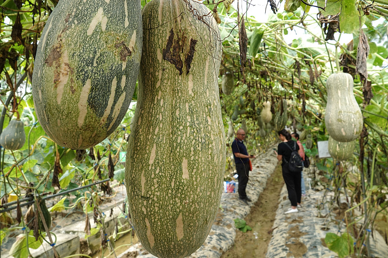 ???? ?? 1600 ??? ?? ???????? ?? ????? ??????? ??????? ??????? ???????