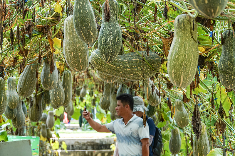 ???? ?? 1600 ??? ?? ???????? ?? ????? ??????? ??????? ??????? ???????