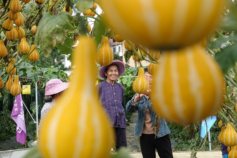 ???? ?? 1600 ??? ?? ???????? ?? ????? ??????? ??????? ??????? ???????