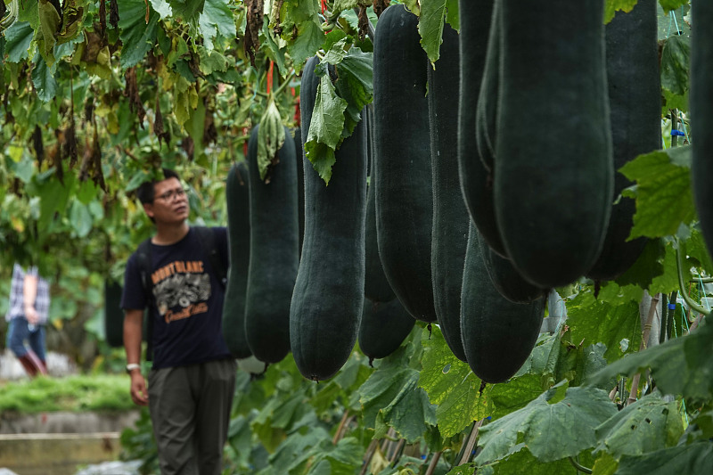 ???? ?? 1600 ??? ?? ???????? ?? ????? ??????? ??????? ??????? ???????