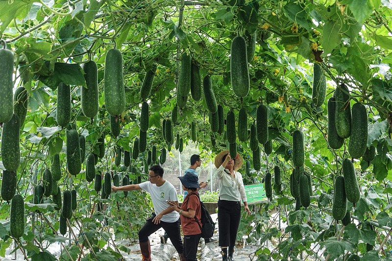 ???? ?? 1600 ??? ?? ???????? ?? ????? ??????? ??????? ??????? ???????