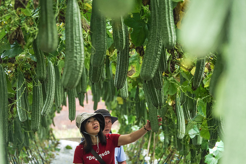 ???? ?? 1600 ??? ?? ???????? ?? ????? ??????? ??????? ??????? ???????