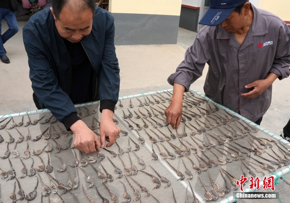 ??????? ???????: ????? ?????? ???? ?????