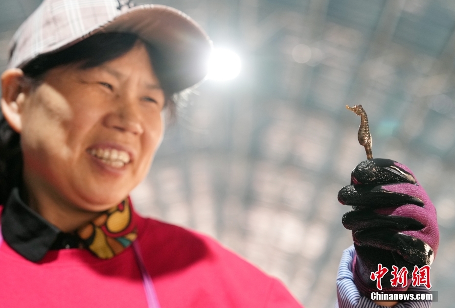 ??????? ???????: ????? ?????? ???? ?????