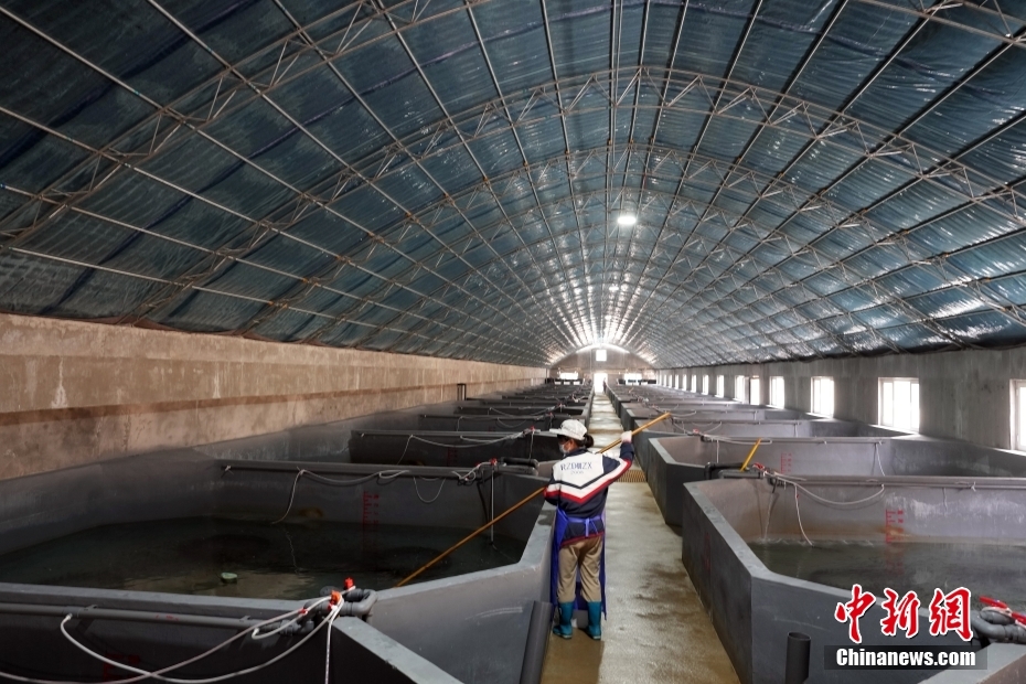 ??????? ???????: ????? ?????? ???? ?????