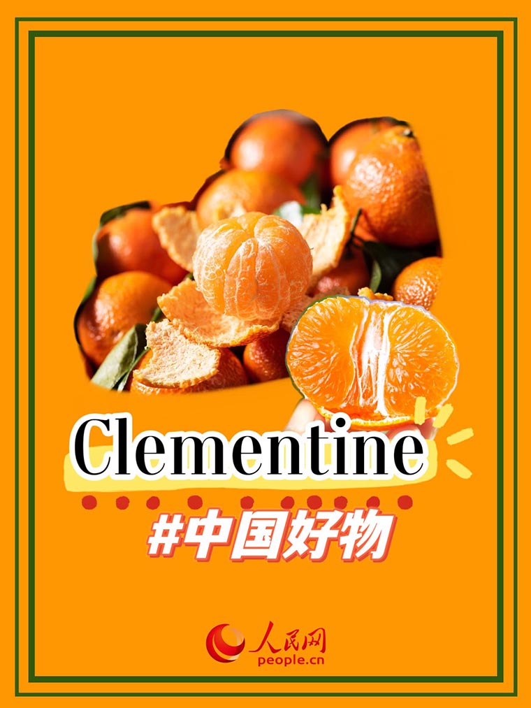 ????? ?????: ?????? ???????????