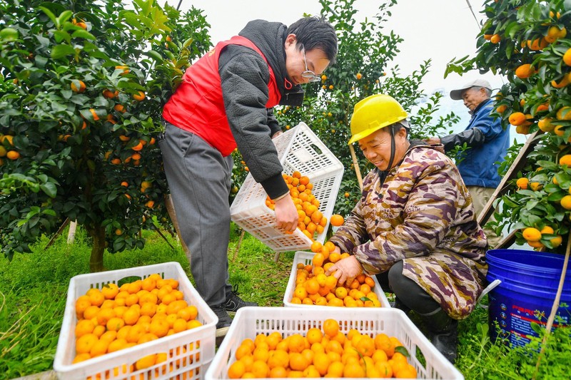 ????? ?????: ?????? ???????????