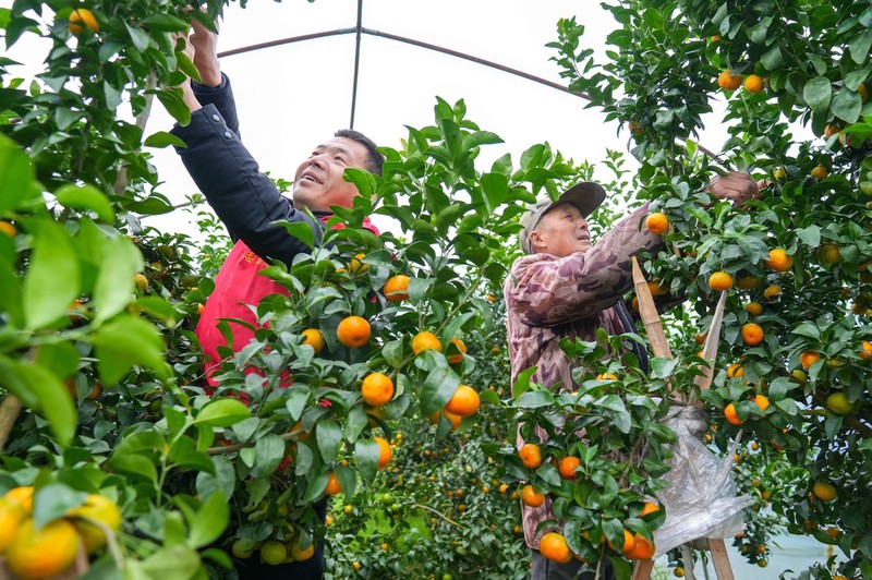 ????? ?????: ?????? ???????????