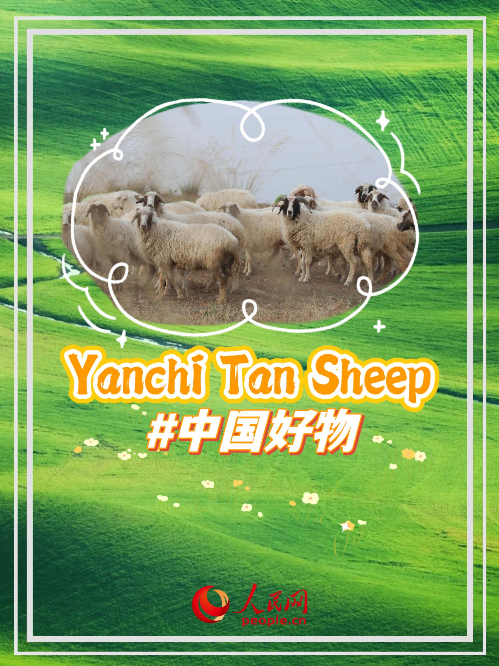 ????? ?????: ????? ??? ??????? ..? ?????? ?????? ?????