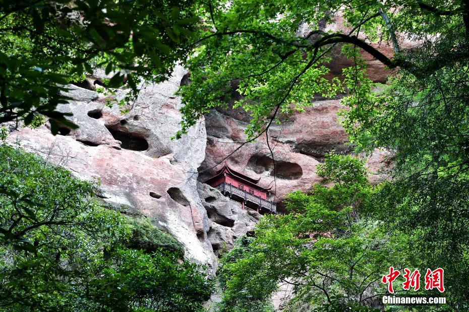 ??????: ???? ?????? ??? ??? ????? ??? ???