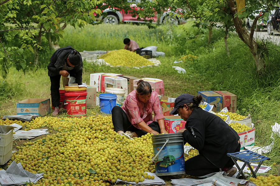 ????? ???? ???? ????? ????? ??????? ??????