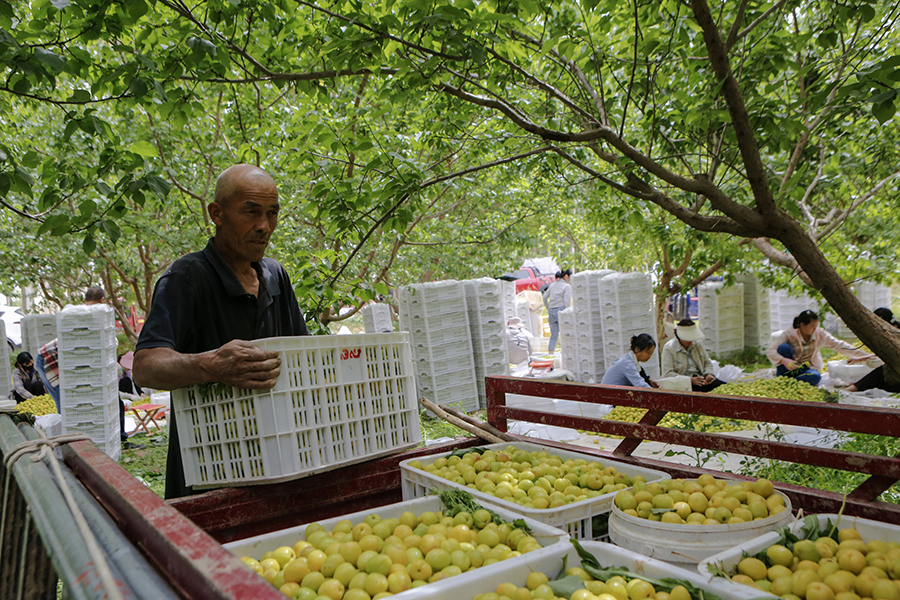 ????? ???? ???? ????? ????? ??????? ??????