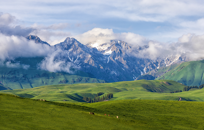 ???? ???? ?? ????? ???? 