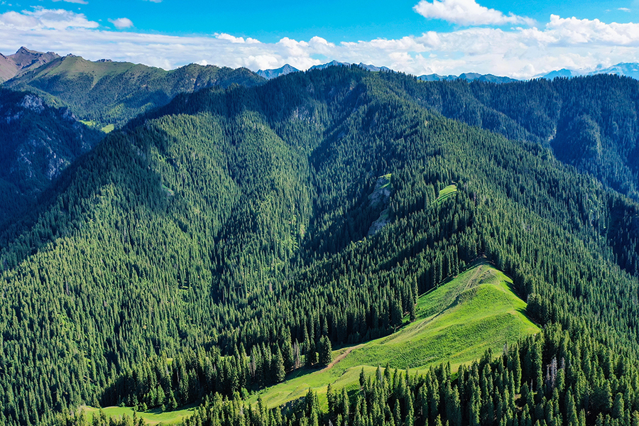 ????? ???? ?????? ???? ?????? ????? ?????? ?????? ??