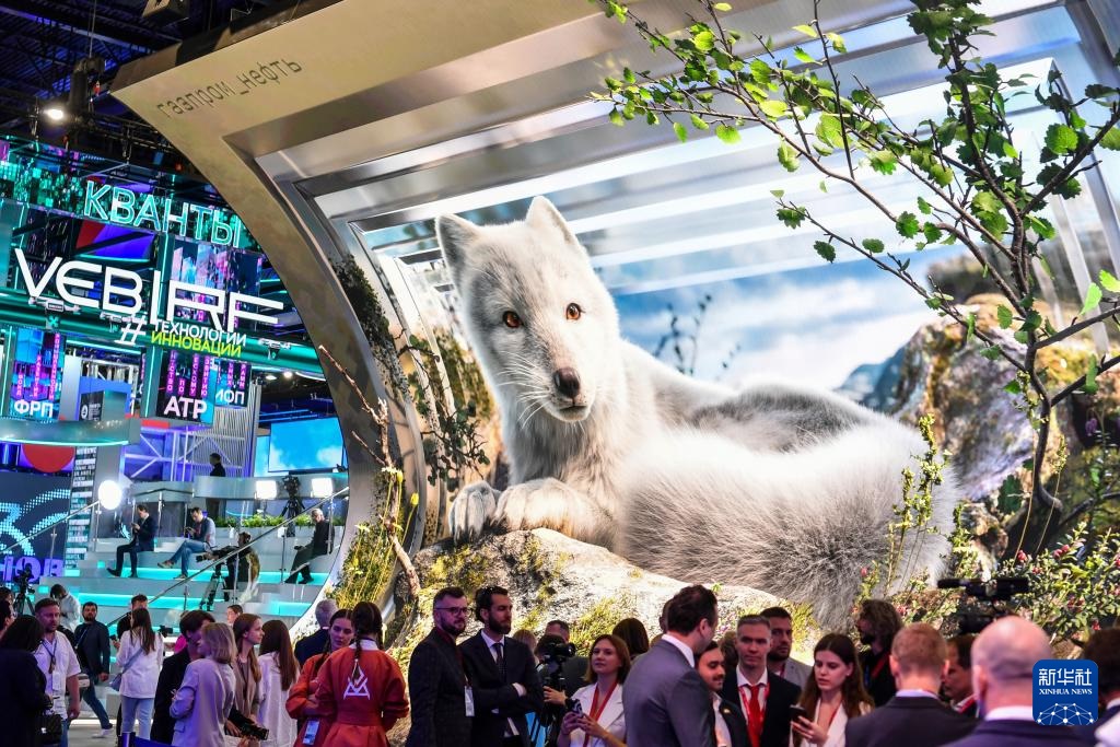 ?????? ??????? ????? ???? ??????? ????????? ??????