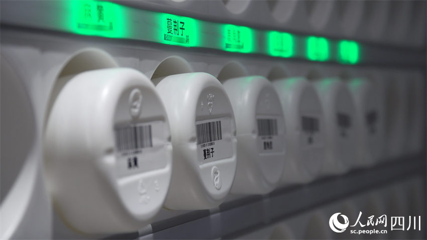 ???????? ?????? ?? ?????? 3 ???? ??? ?????? ??????