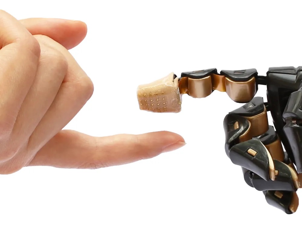 ????? ?????? ??????? ???? ????????? ????? ??????? ????? ??? ???????