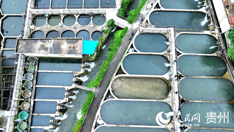 ??????: ????? ????? ??? ????? ????