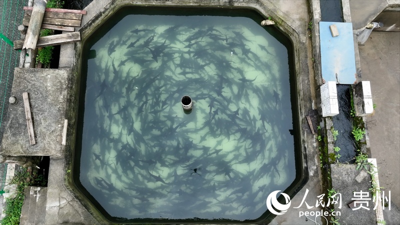 ??????: ????? ????? ??? ????? ????