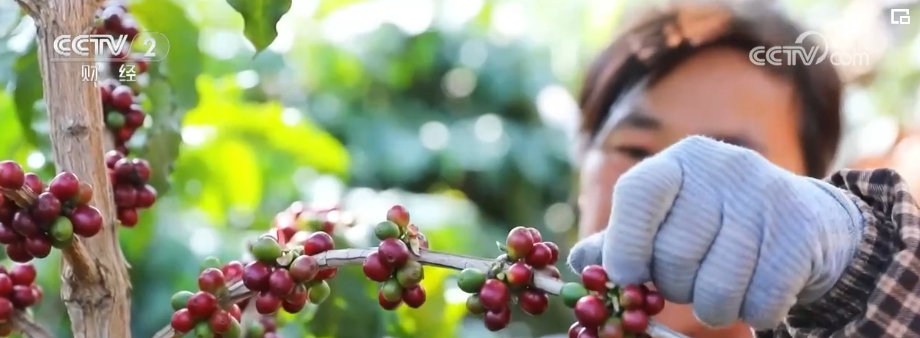 ????? ????? "????????" ??????? ????????? .. ??? ???????? ???? ???????????