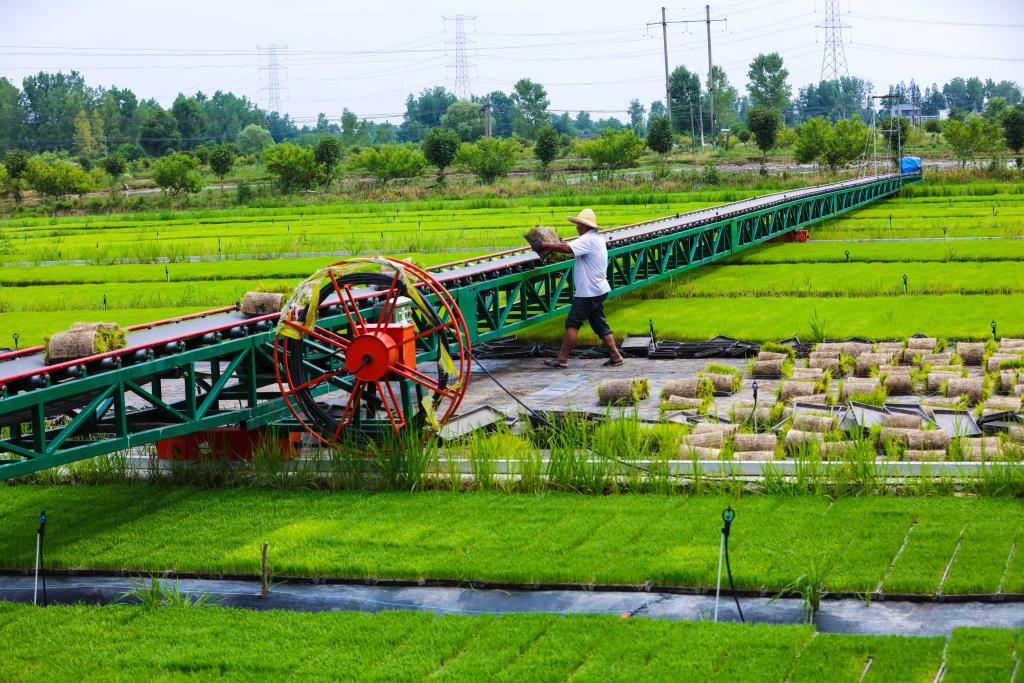 ????? ????? ????? ?? ?????